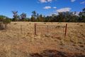 Property photo of 8831 The Bogan Way Trundle NSW 2875