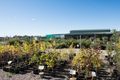 Property photo of 243 Castlereagh Highway Mudgee NSW 2850