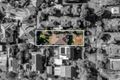 Property photo of 42 Neerim Road Caulfield VIC 3162