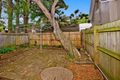 Property photo of 202 Wilson Street Newtown NSW 2042