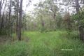 Property photo of LOT 266 Springvale Road Wondecla QLD 4887