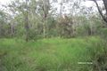 Property photo of LOT 266 Springvale Road Wondecla QLD 4887