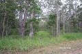 Property photo of LOT 266 Springvale Road Wondecla QLD 4887