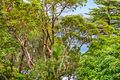 Property photo of 3/69 Beaconsfield Street Newport NSW 2106
