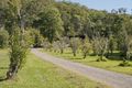 Property photo of 167 McCords Road Yandina Creek QLD 4561