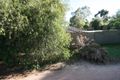Property photo of 41 Hamilton Crescent Aberfoyle Park SA 5159