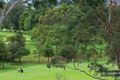 Property photo of 95 Pentecost Avenue Pymble NSW 2073