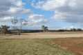 Property photo of 275 Oxley Drive Walcha NSW 2354