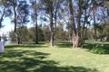 Property photo of 45 Natuna Avenue Budgewoi NSW 2262