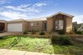 Property photo of 74 Ribblesdale Avenue Wyndham Vale VIC 3024