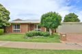 Property photo of 953 Fifteenth Street Mildura VIC 3500
