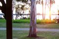 Property photo of 46 Bangalow Street Russell Island QLD 4184