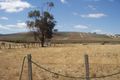 Property photo of 592 Blessington Road White Hills TAS 7258