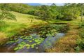Property photo of 67 Elevation Drive Wongawallan QLD 4210