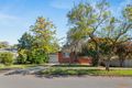 Property photo of 11 Hazel Grove Ridgehaven SA 5097