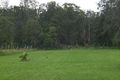 Property photo of 16 Wolseley Avenue Tacoma NSW 2259