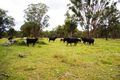 Property photo of 1147 Retreat Road Balala NSW 2358