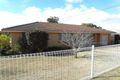 Property photo of 19 Corriedale Crescent Harristown QLD 4350