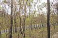 Property photo of 175 Glenworth Valley Road Mount White NSW 2250