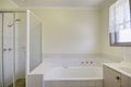 Property photo of 20 Titan Street Whittington VIC 3219