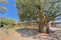 Property photo of 19 Pedler Avenue Gillen NT 0870