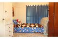 Property photo of 44 David Street Noble Park VIC 3174
