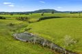 Property photo of 409 Tyringham Road Dorrigo NSW 2453