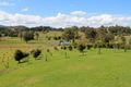 Property photo of 1445 Collins Creek Road Collins Creek NSW 2474