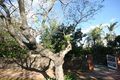 Property photo of 3 Churcher Street Thorngate SA 5082