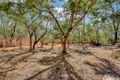 Property photo of 915 Road South Road South Darwin River NT 0841