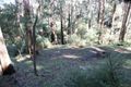 Property photo of 6 Karingal Drive Wye River VIC 3234