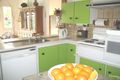 Property photo of 43 Tenella Street Canley Heights NSW 2166