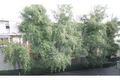 Property photo of 19/274A Domain Road South Yarra VIC 3141
