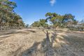 Property photo of 246 Upper Penneys Hill Road Onkaparinga Hills SA 5163