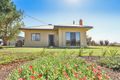Property photo of 782 Paschendale Avenue Merbein South VIC 3505