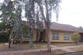 Property photo of 17 Spiers Avenue Pasadena SA 5042