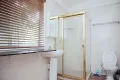Property photo of 74 Pine Street Rydalmere NSW 2116
