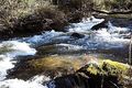 Property photo of 135 Elliott Way Paddys River NSW 2653