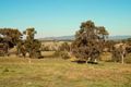 Property photo of 2-4 Reserve Road Wonga Park VIC 3115