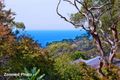 Property photo of 4/57 Kalang Road Elanora Heights NSW 2101