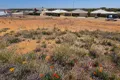 Property photo of 10 Pirring Way Hannans WA 6430