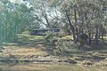 Property photo of 135 Elliott Way Paddys River NSW 2653
