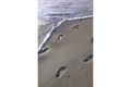 Property photo of 45/130 Mudjimba Esplanade Marcoola QLD 4564