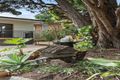 Property photo of 33 Kardella Crescent Narwee NSW 2209