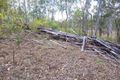 Property photo of 1110 Longlands Gap Road Wondecla QLD 4887