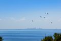 Property photo of 9 Atlantic Terrace Mount Martha VIC 3934