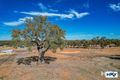 Property photo of 9 Imperial Ridge Chittering WA 6084