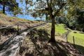 Property photo of 50 Robinson Road Wondecla QLD 4887