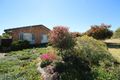 Property photo of 100 Birch Avenue Dubbo NSW 2830
