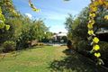 Property photo of 7 Dumbarton Avenue Edwardstown SA 5039